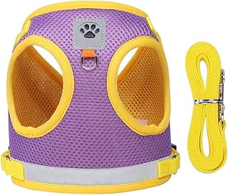 BaronHong Dog Harness Vest for Small and Medium Dogs No Pull,Easy Walk Soft Step in Escape Proof Reflective Harness and Leash Set(Purple,M)