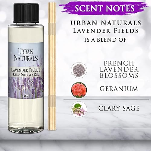 Miniatura 433 de Urban Naturals Reed Diffuser Oil Refill Ocean Mist Sea Salt with Salt Spray, Violet Leaf, Sea Grass, Driftwood 8 oz + Free Reed Sticks, Made in The