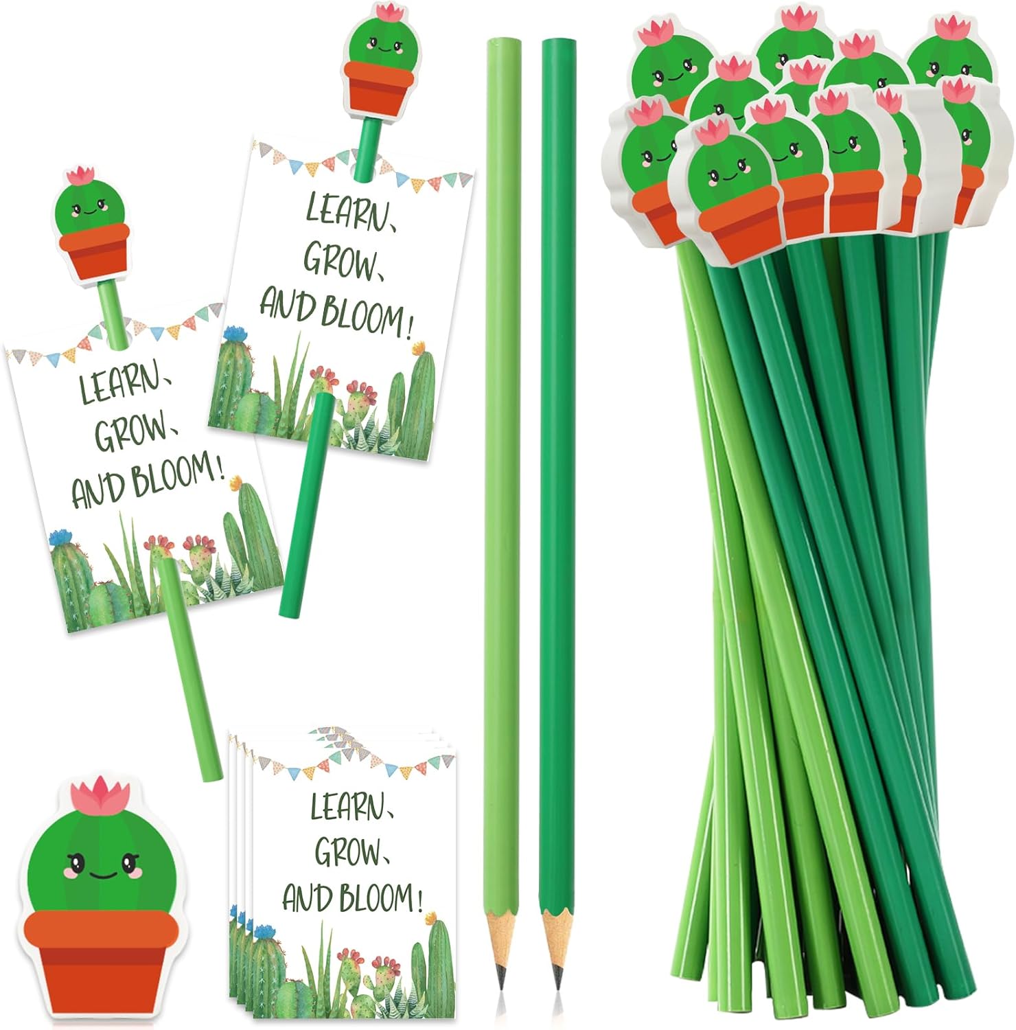 FYSUIMU 50 Sets Cactus Themed Gifts Back to School Gifts With Green Pencils Cute Cactus Erasers and Motivational Postcards for Students Bulk First Day of School Reward Party Favor