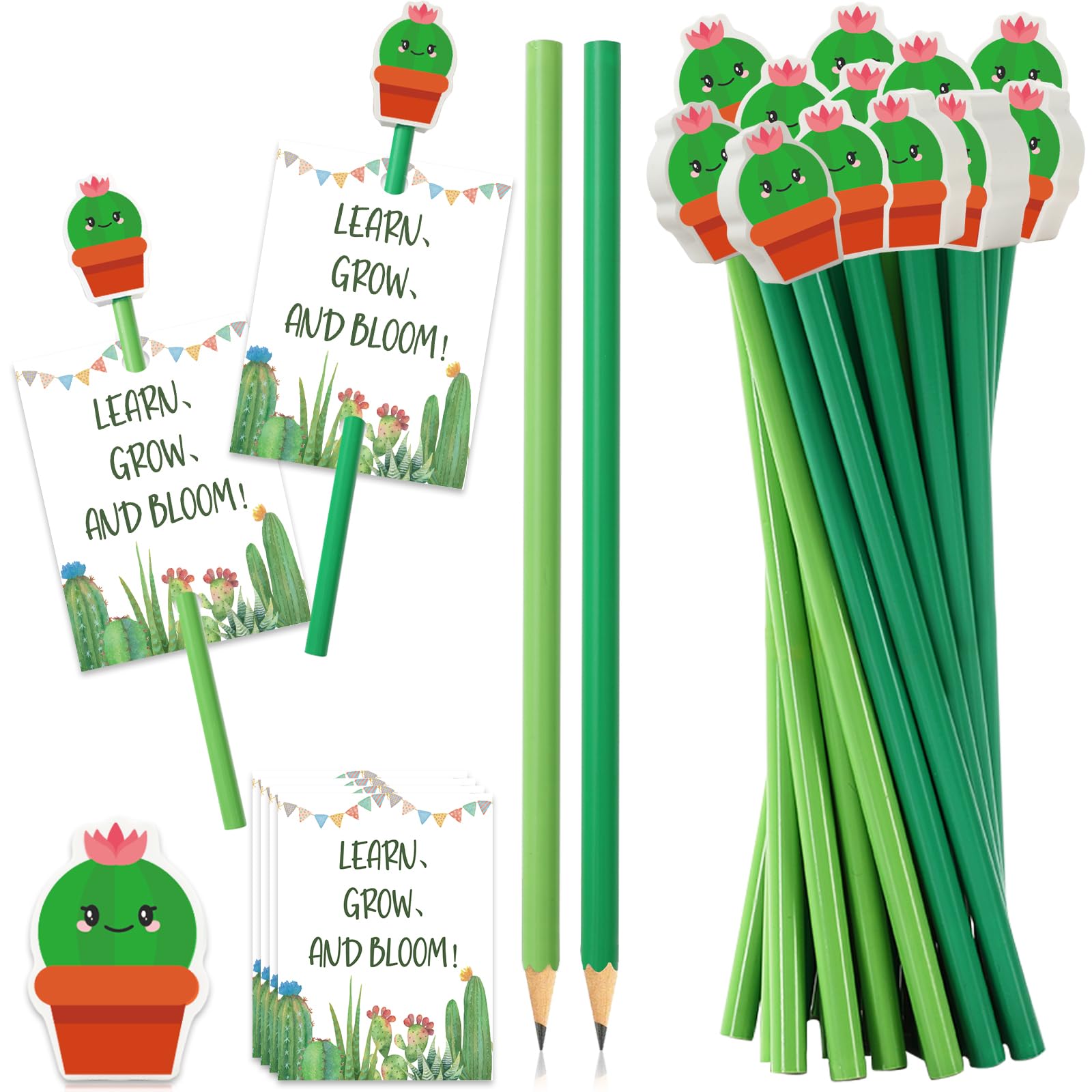 FYSUIMU 50 juegos de lápices de cactus con gomas de borrar y tarjetas, bonitos lápices de escritura de cactus en maceta, regalos de regreso a clases, oficina, papelería, recuerdos de fiesta