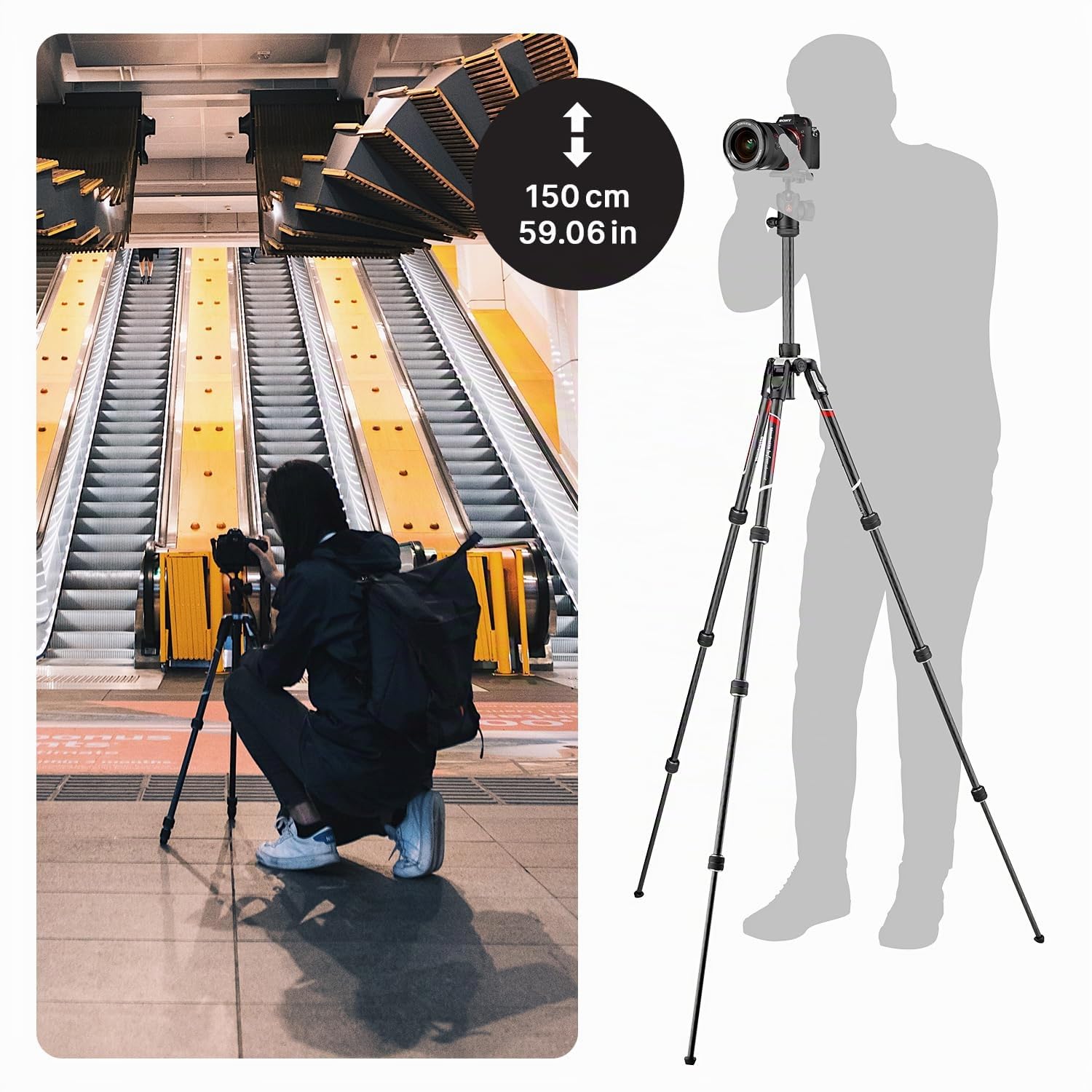 Manfrotto Befree - Treppiede da viaggio per fotocamera con testa fluida e chiusura a rotazione, portatile e compatto, treppiede in carbonio per fotocamere DSLR, Reflex, mirrorless, accessori per