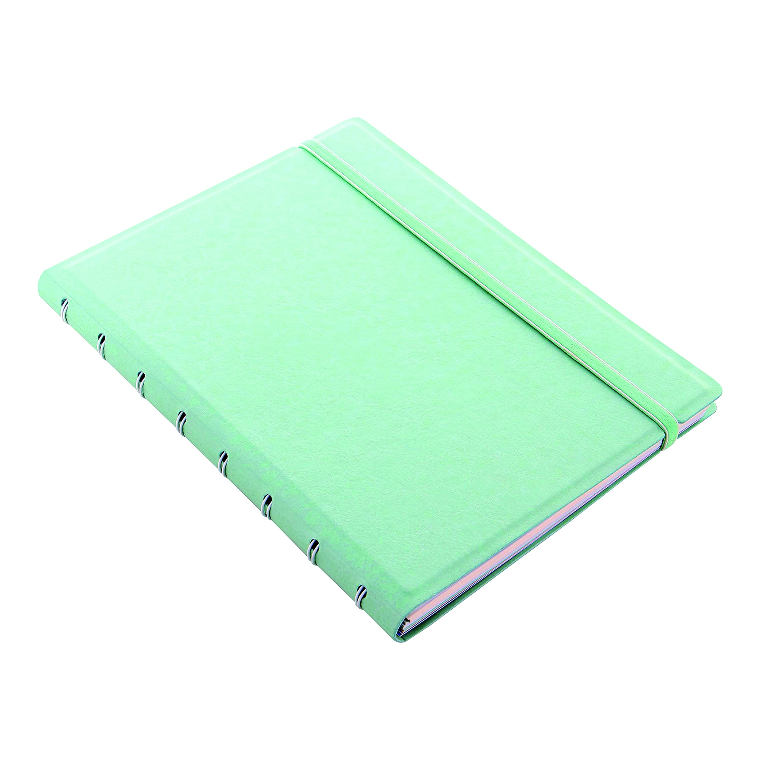 Filofax Nachfüllbares Notizbuch, A5, klassische Pastell-Kollektion, gepunktetes Papier, 21 x 14,6 cm, Duck Egg (B115079U)