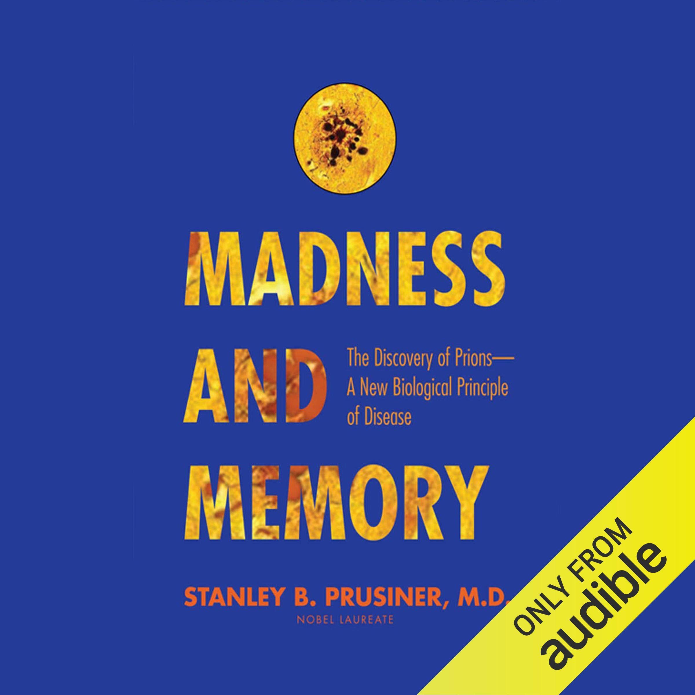 Cover art for Madness and Memory