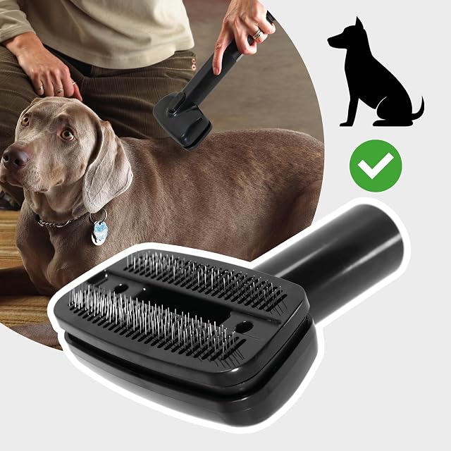 Foto 5 de 7 de SPARES2GO Cepillo Universal para Perros para Aspiradoras Herramienta para el Pelo de tu Mascota (32 & 35 mm)