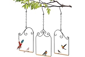 Bird Swing Outdoor 3-Piece Hummingbird Swing perch and Feeder