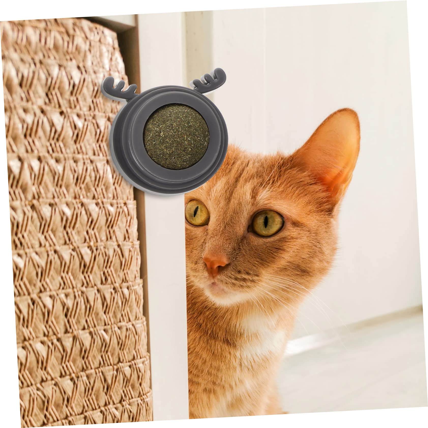 Supvox 12stücke Katzenminze Lick Ball Multifunktionales Spielzeug Zur Zahnpflege Für Katzen Rotierender Interaktiver Kauspielzeug Für Drinnen Gesundheit Und Spielspaß