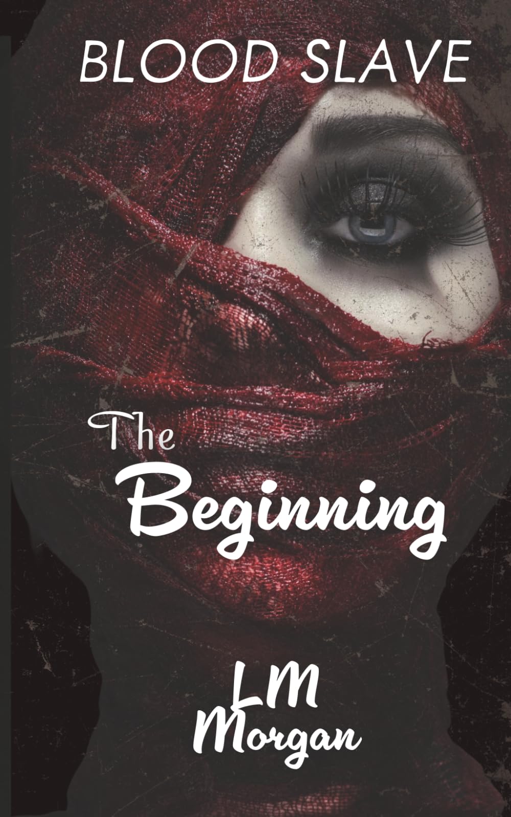 The Beginning: 1 (The Blood Slave Series)