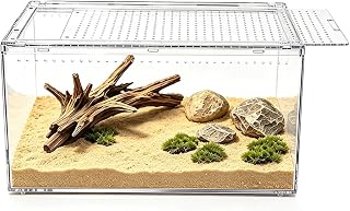 Reptile Growth 소형 파충류 테라리움, 자석 버튼이 있는 타란툴라 인클로저, 20.3 x 15.2 x 10.2cm(8 x 6 x 4인치) 도마뱀 인클로저, 파충류 번식 탱크, 거미 스타터 케이지, 개구리 용기