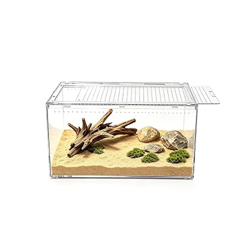 Reptile Growth Small Reptile Terrarium,Tarantula Enclosure with Magnetic Button, 8"x