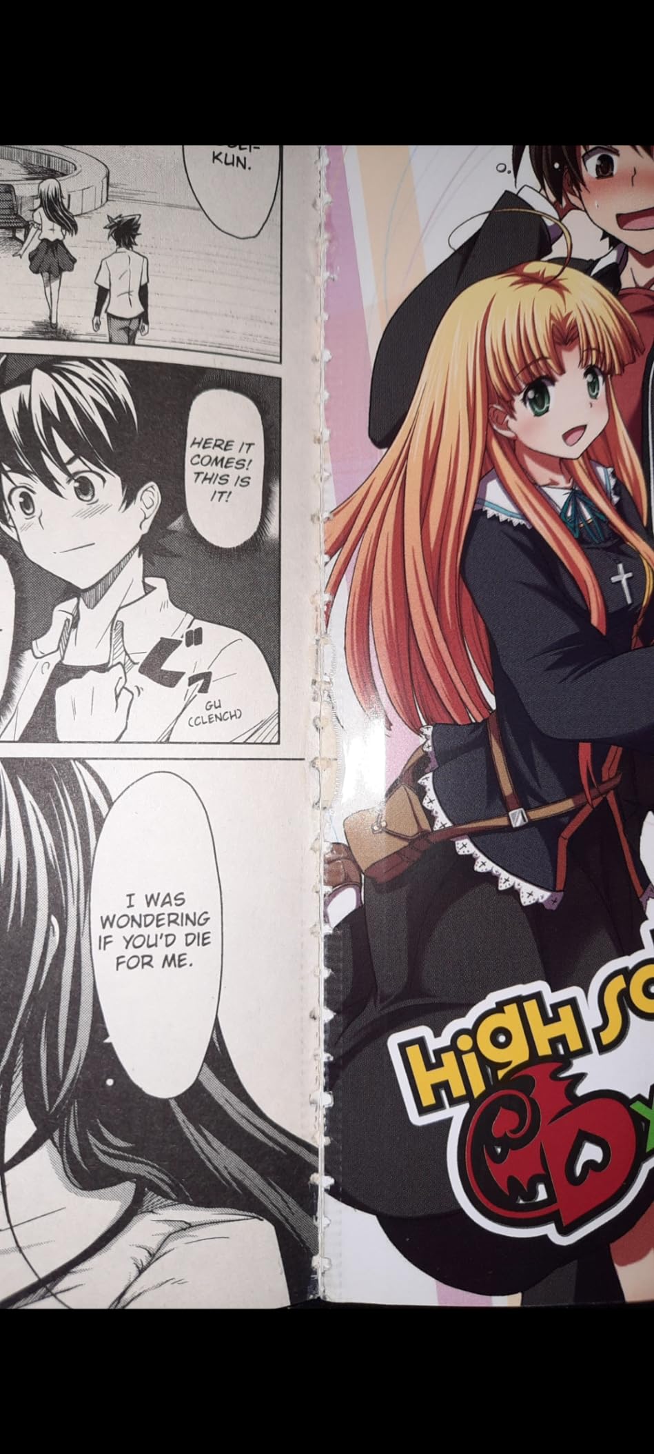 High School DxD, Vol. 1 - manga (High School DxD (manga), 1): Caleb D