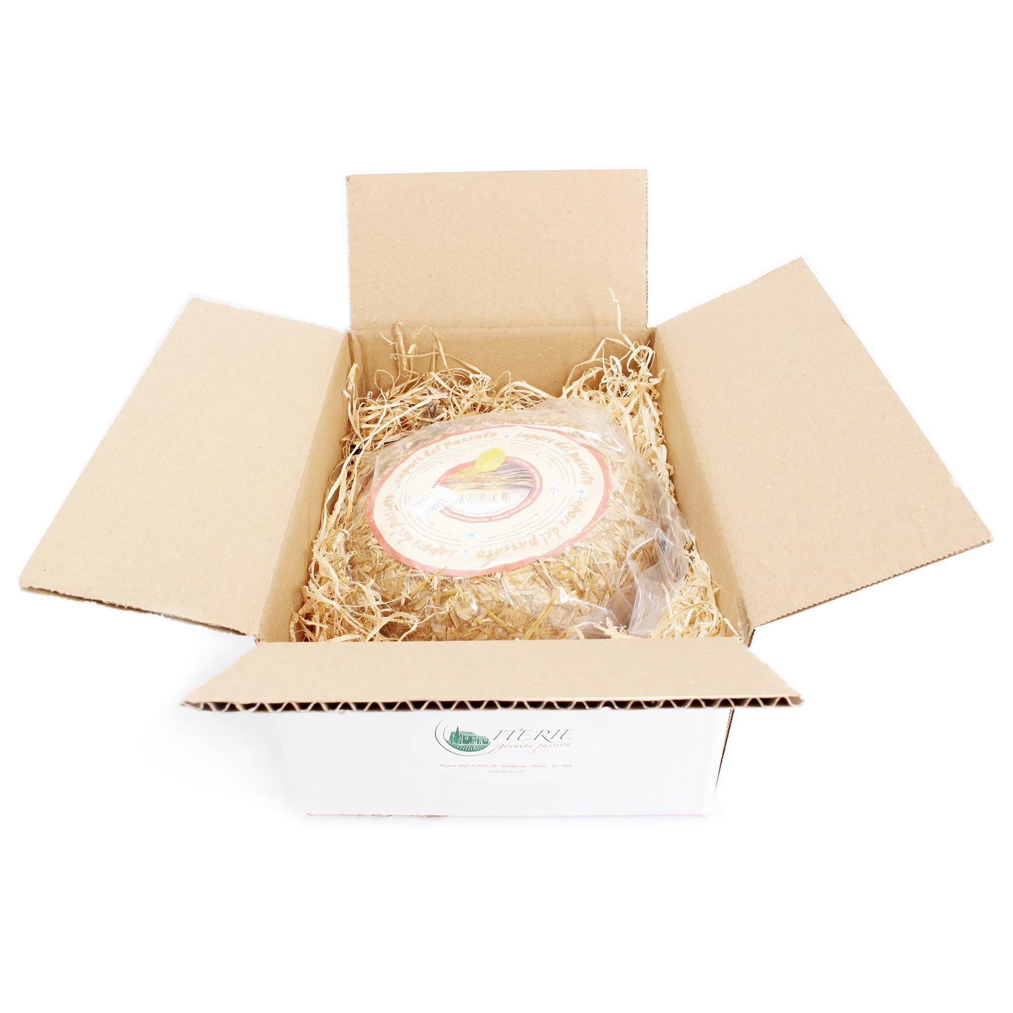 Ganzer Käselaib 1,5 kg - PAGLIERINO - PECORINO TOSCANO DOP aus CASENTINO - Im HEURINDE gereift - 6 MONATE - Käse aus BERGSCHAFMILCH - Direkt aus Italien