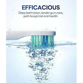 Bymore Electric Toothbrush for Adults,Travel Sonic Toothbrush with 8 Replacement Heads, Ultra Clean RechargeableToothbrush Portable One Charge for 330days 5 Modes 2mins Timer-Purple