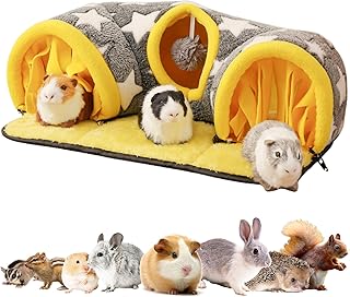 Hamster Tunnels: Where To Buy And What To Look For | PetShun