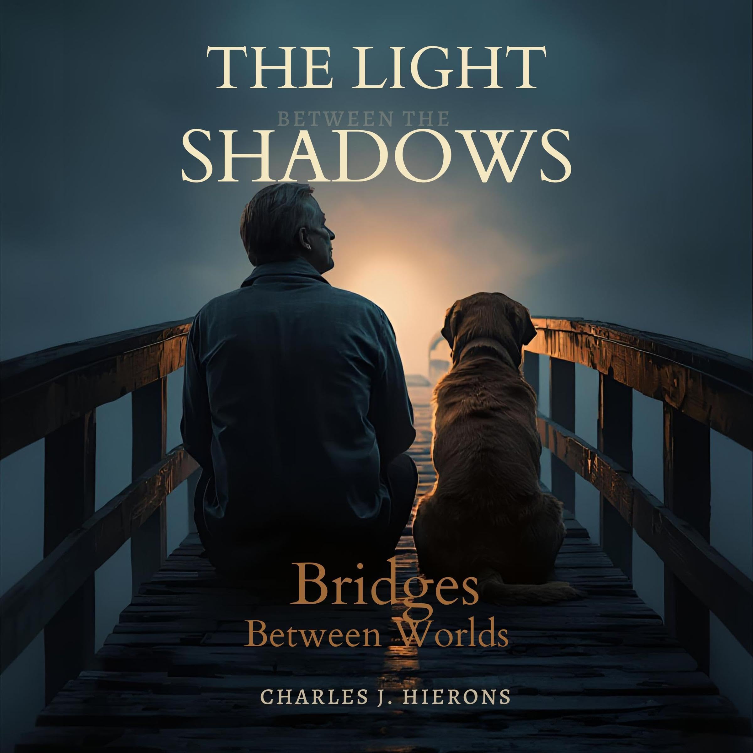 Cover art for The Light Between the Shadows