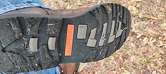 Review Image by CJ C works in I.T.