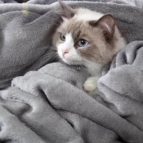 Vista 86 de Hansleep Manta de vellón tamaño individual, color verde azulado, suave y acogedora manta de franela mullida para cama, sofá, viajes, campamento