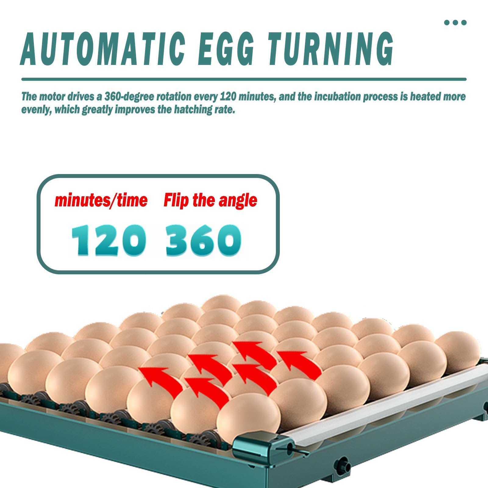 Incubatrice for Uova for Pulcini Da Cova, Commerciale E Domestico Contiene 6-392 Uova Rifornimento Automatico Dell'acqua Vista A 360 Gradi Con Finestra Trasparente Gallina/anatra/quaglia/tacchino(128)