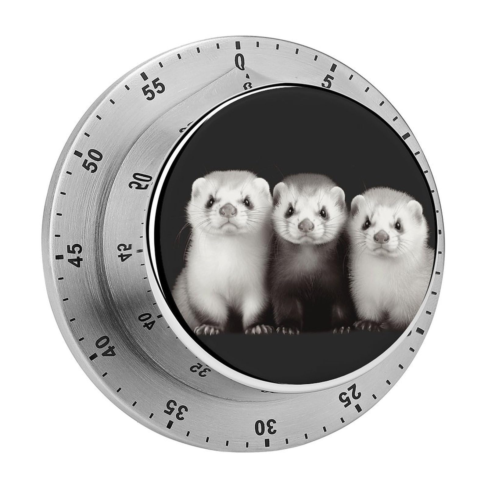 Ferrets Timers Adsorbable Stainless Steel Kitchen Timer Loud 60 Minute Visual Timer Portable Manual Countdown Timers Alarm Clock Time Management Tool for Home Work