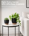Bamworld 6 Pack Indoor Plant Pots Shelf Watering Planters for Indoor Plants with Drainage Hole Plastic Plant Pot for Home Gardening Containers(Black)