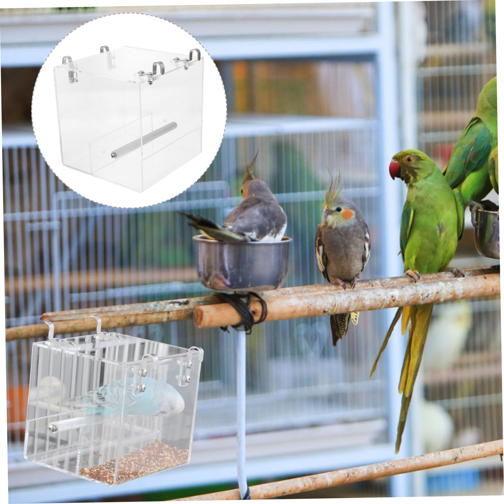 GALPADA Ciotola Automatica per Alimentazione Uccelli in Plastica Resistente Facile da Installare e Pulire per Pappagalli e Piccoli Volatili Design Sospeso Decorativo per Gabbie Misura