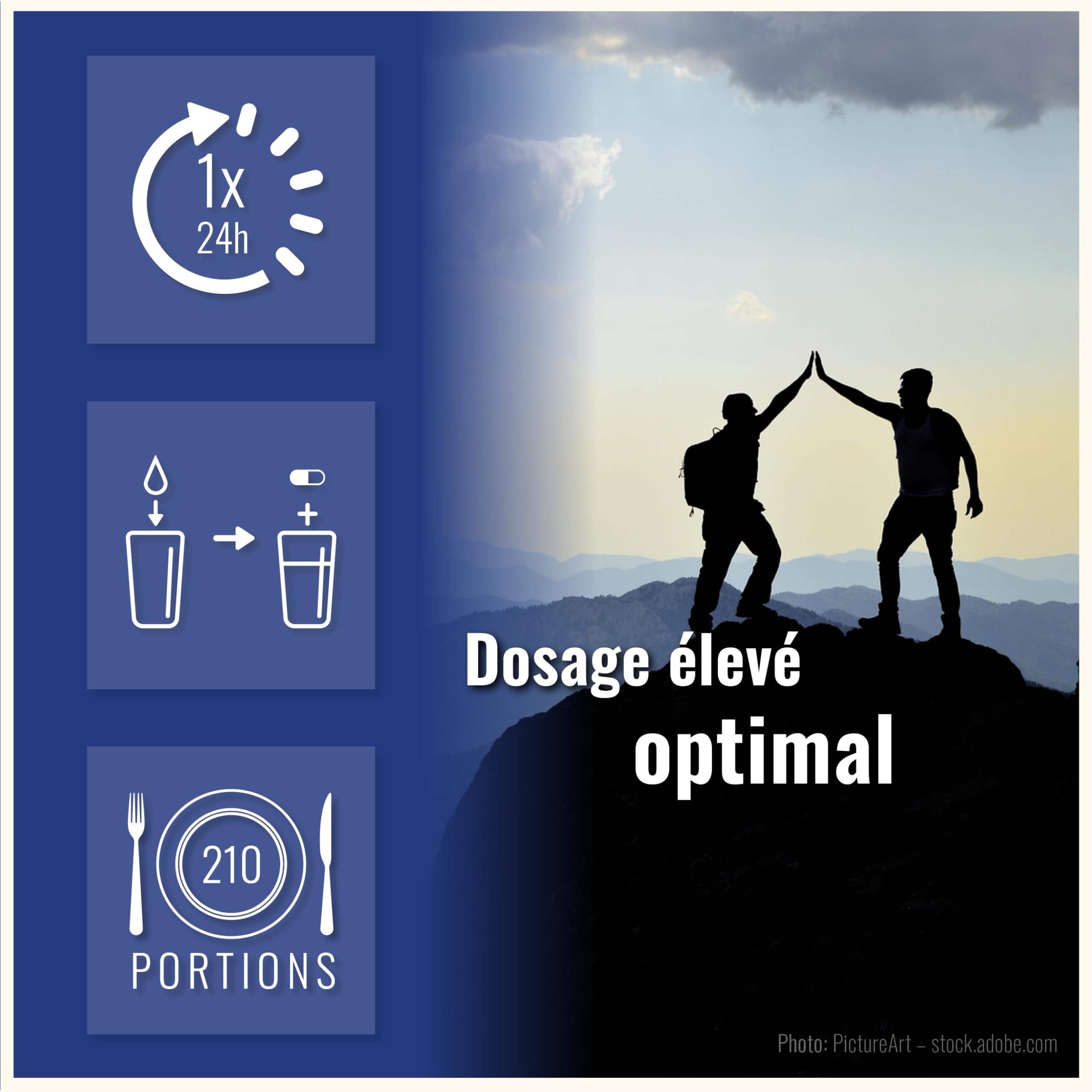 L Glutamine Gélules - 210 gélules - 750mg de L-Glutamine pure par dose journalière - acide aminé de très bonne qualité - 7 mois d'approvisionnement