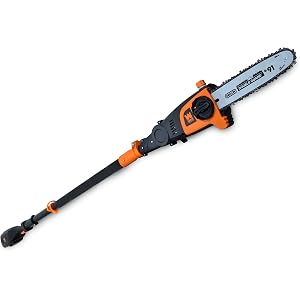 Lithium Ion Cordless Pole Saw 