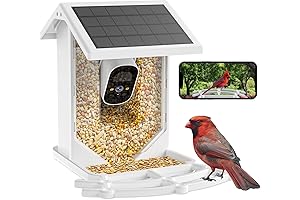 Smart Bird Feeder, Witness Nature Up Close