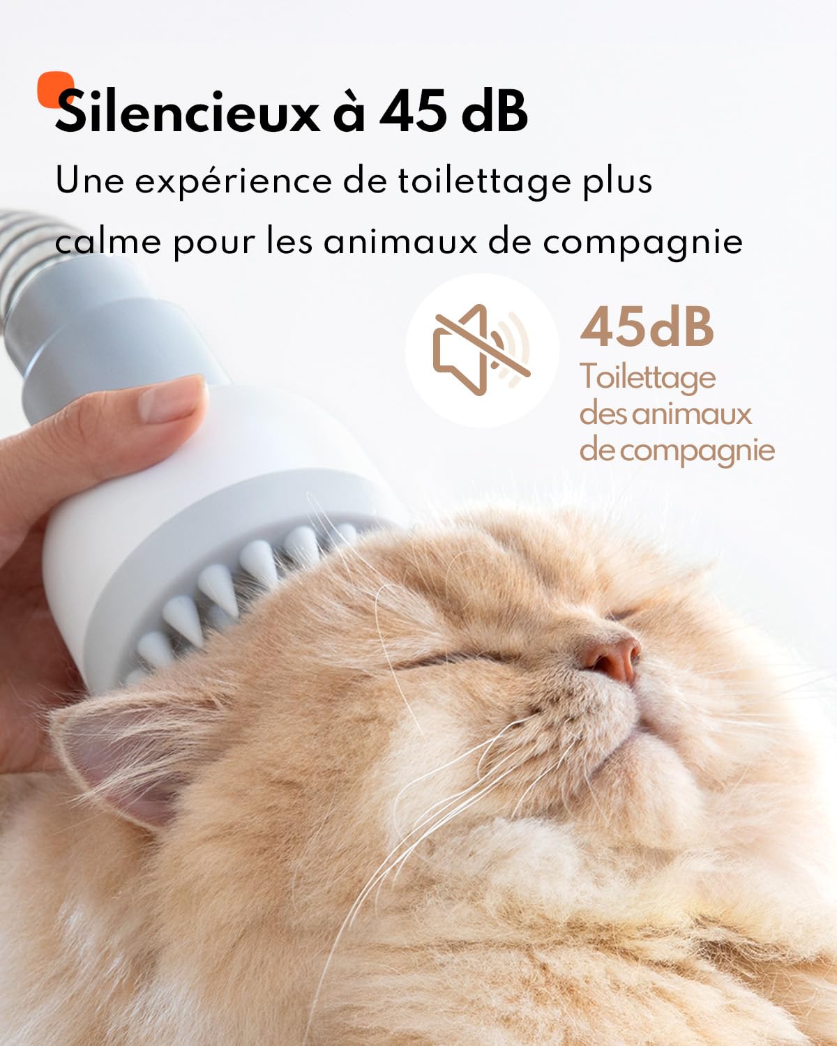Homerunpet Aspirateur Poil de Chien, Ultrasilencieux & Super Aspirant Kit de Toilettage pour Animaux de Compagnie, Professionnel Tondeuse Chien Chat avec 6 Outils de Toilettage, 1,85L