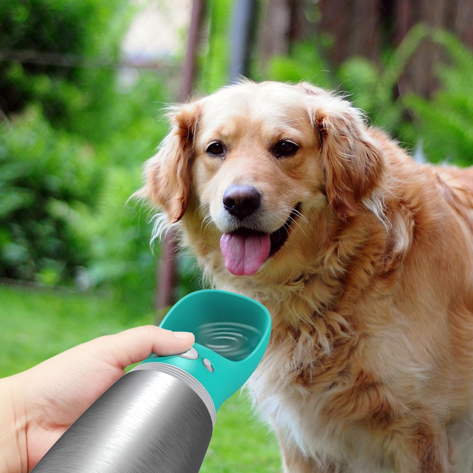 Bottiglia d'acqua da viaggio per cani, dispenser di idratazione per animali domestici, bottiglia in acciaio a prova di perdite con pieghevole, contenitore portatile per bevande all'aperto