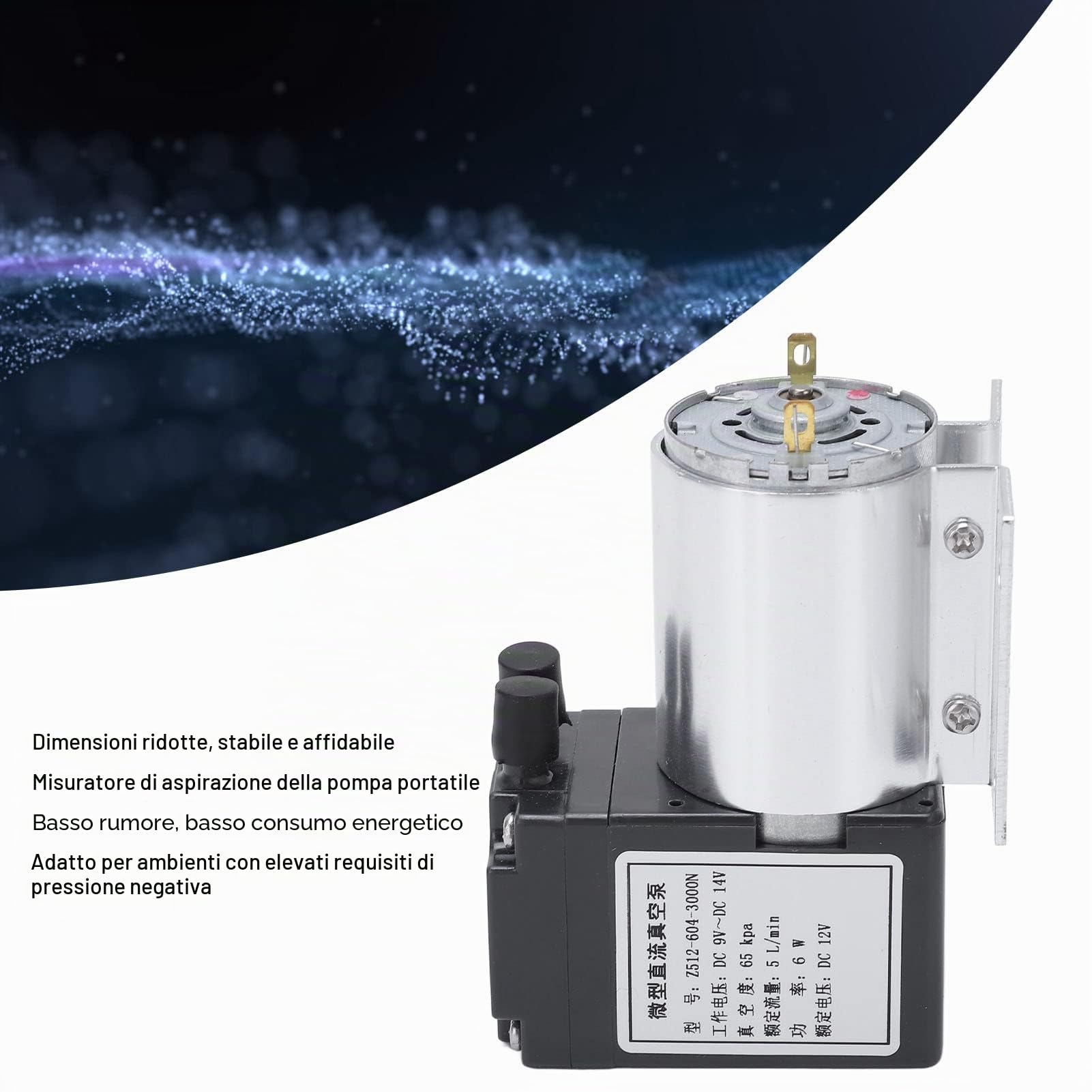 Tyenaza Pompa per Vuoto 12V, Mini Pompa a Vuoto a Pressione, 5L/Min 120Kpa Pompa di Aspirazione del Vuoto con Pompaggio di Aspirazione a Pressione Negativa con Supporto