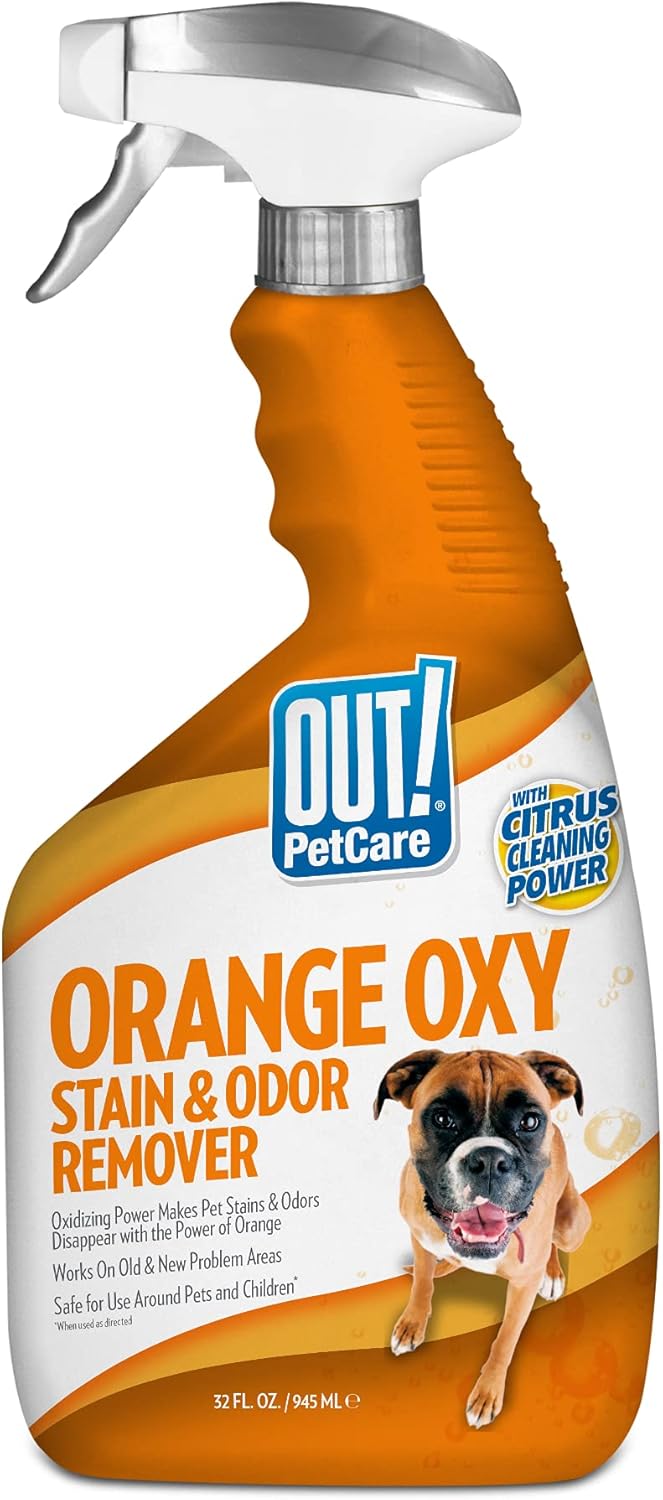 orange oxy cat