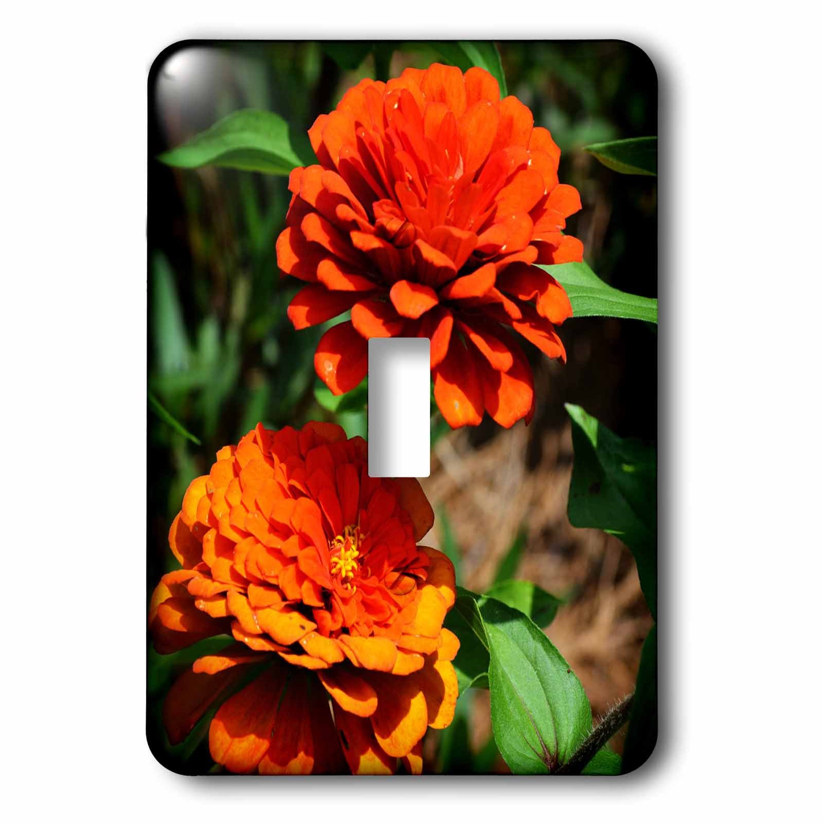Interrupteur à bascule fleurs de zinnia orange déco cuisine salon 3dRose