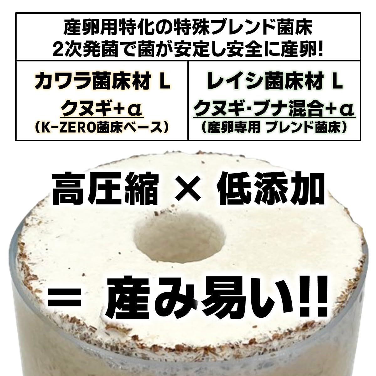 Amazon | タランドゥスオオツヤ 1メス54個採卵！【DDA】カワラ菌床材L