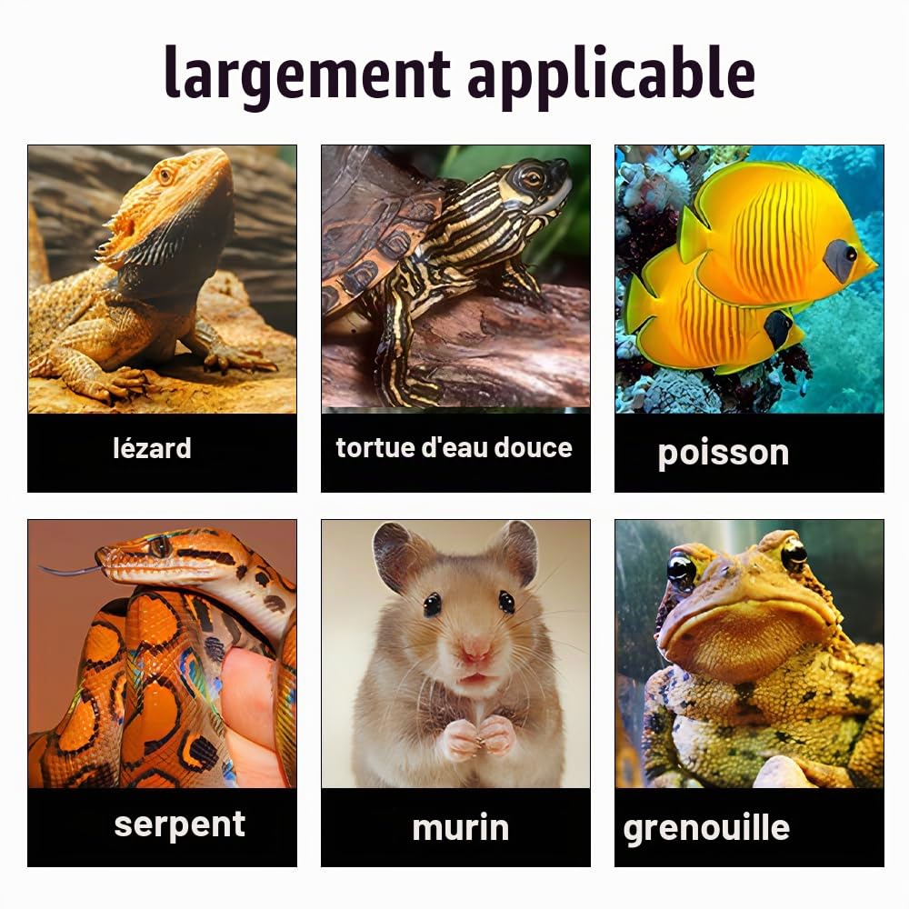 Support D'éclairage pour Reptiles,Support D'éclairage avec Hauteur Réglable de 15,9" a 27,6" et Largeur de 9,1" a 11,2",Support D'éclairage au Sol pour Tortues,Table en Verre,Aquarium,Terrarium