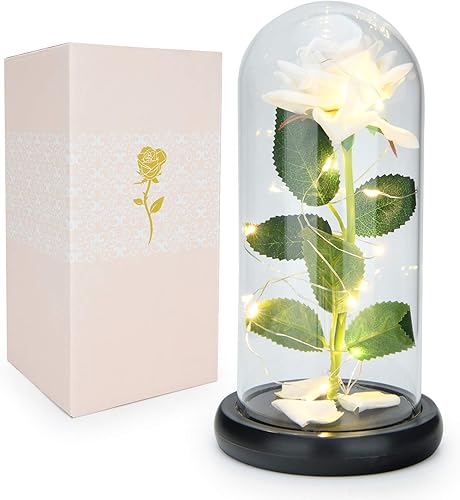 Lemospark Beauty and The Beast - Flor encantada con pétalos en cúpula de cristal, regalos personalizados para mujeres, novia, día de San Valentín,