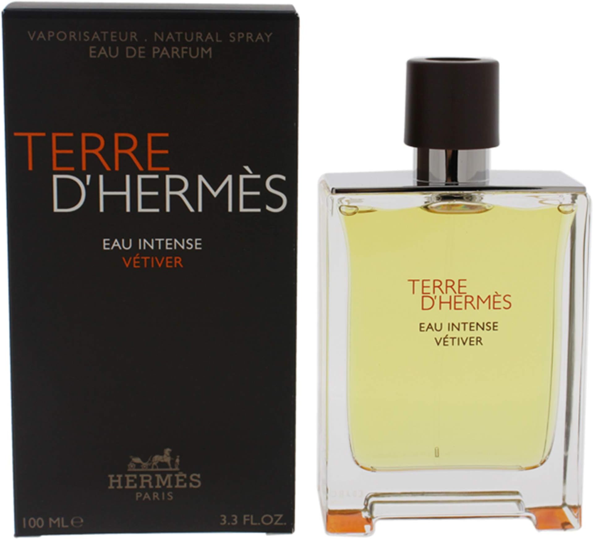 Hermes Terre Eau Intense Vetiver Eau De Parfum 100 Ml Men's Perfume main image 1