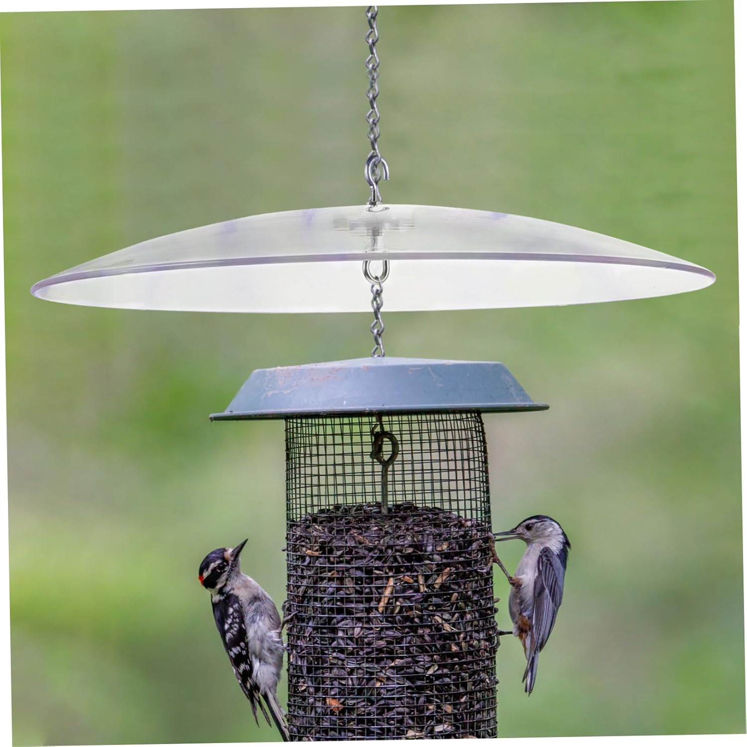 Feeder Rain Cover Hanging Bird Feeder Protector Dome for Outdoor Use Squirrel Prevention Easy Installation Design