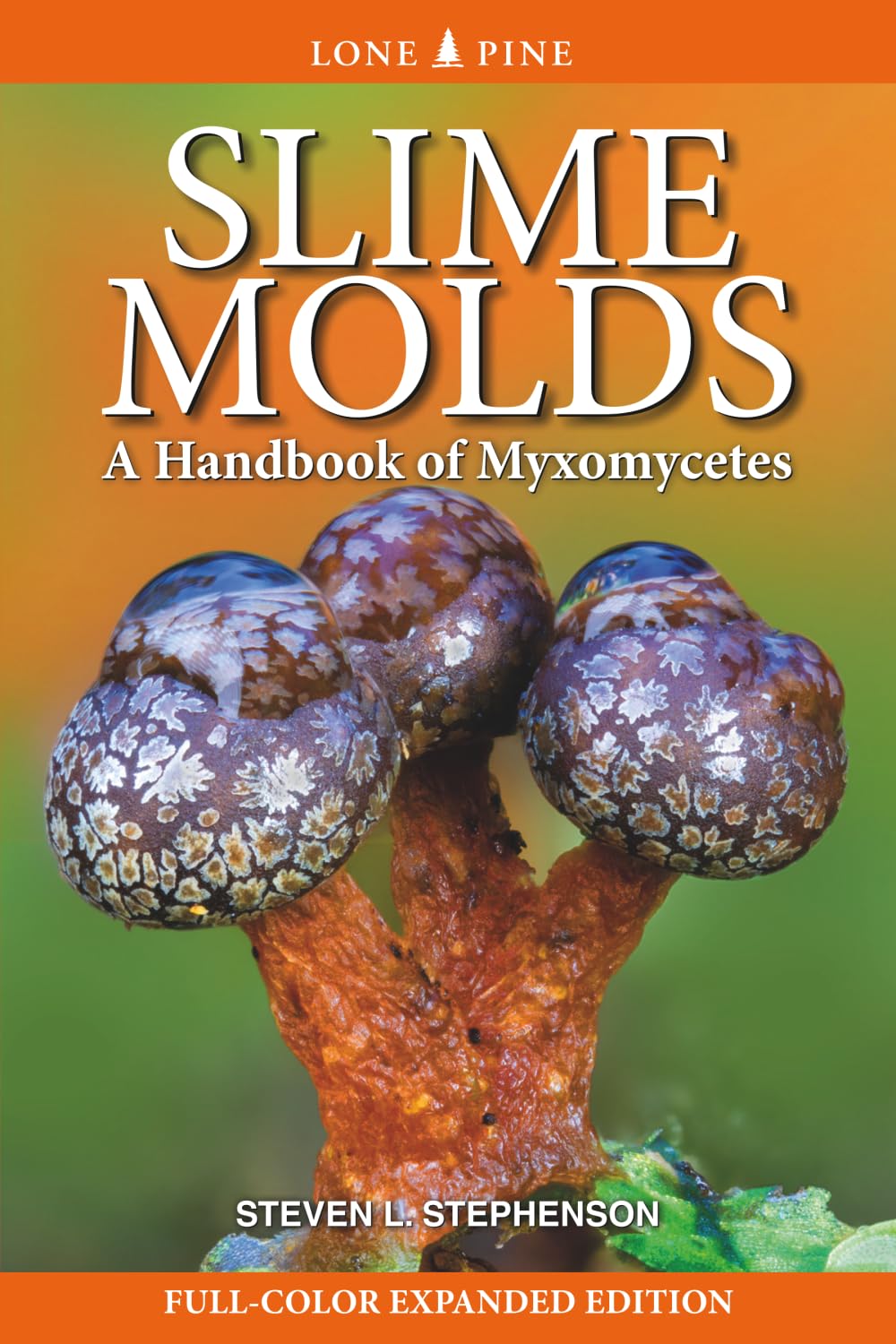 Slime Molds: A Handbook of Myxomycetes: Stephenson, Steven L