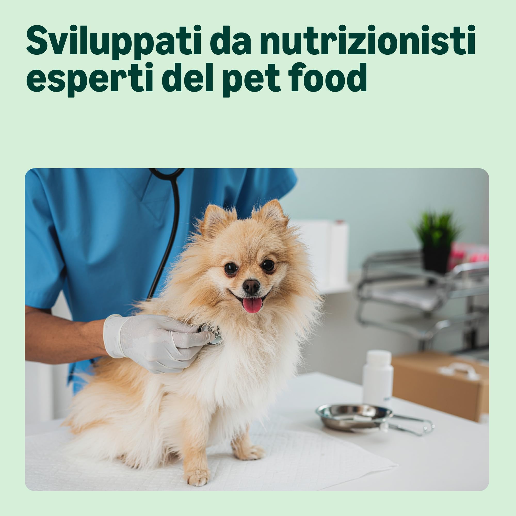 by Amazon Complete - Alimento Secco Completo Per Cani Adulti (razze Di Piccola Taglia) Ricco In Pollo E Riso, 1 X 3kg (Precedentemente un marchio Lifelong, stesso prodotto)