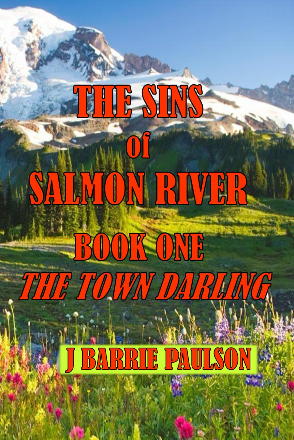 Sins of Salmon River: Book One -- The Town Darling