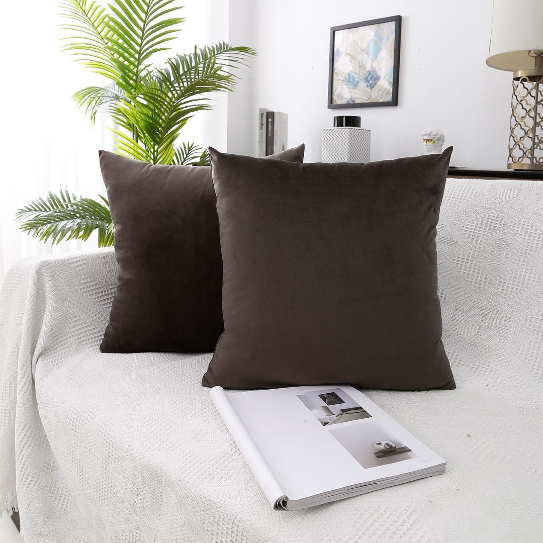 MoonRest - Pack of 2, Velvet Decorative Pillow Cover Set, Cozy Soft with Hidden Zipper Solid Color for Sofa Bedroom Car Couch Throw Pillow 26 x 26