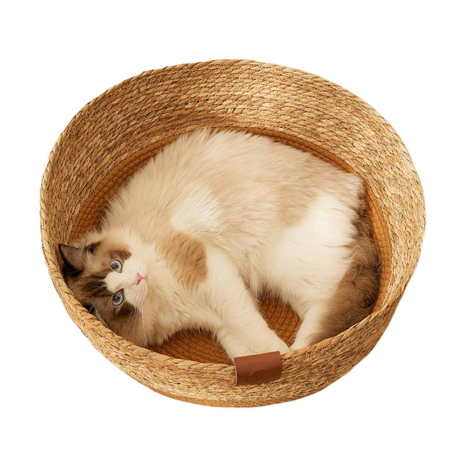 Cuccia per gatti – cuccia portatile per animali domestici | mobilia multifunzionale per gatti, in resistente, accogliente per , cuscino reversibile in peluche accogl