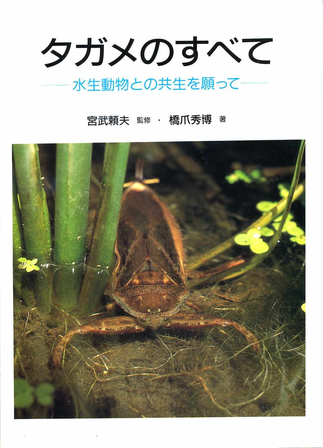 タガメのすべて 水生動物との共生を願って 橋爪 秀博 本 通販 Amazon タガメのすべて 水生動物との共生を願って 橋爪 秀博 本 通販 Amazon