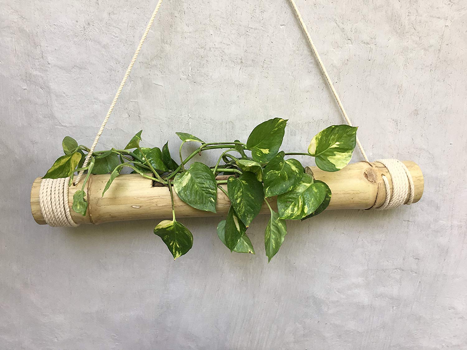 Plants Diary-Hanging Bamboo Planters with Adjustable Rope - Bamboo Stand - Decorative Indoor Garden, Balcony Garden Accessories - Bamboo Pot- Pack of 1 (B0D5WDLB91) Amazon Price History, Amazon Price Tracker