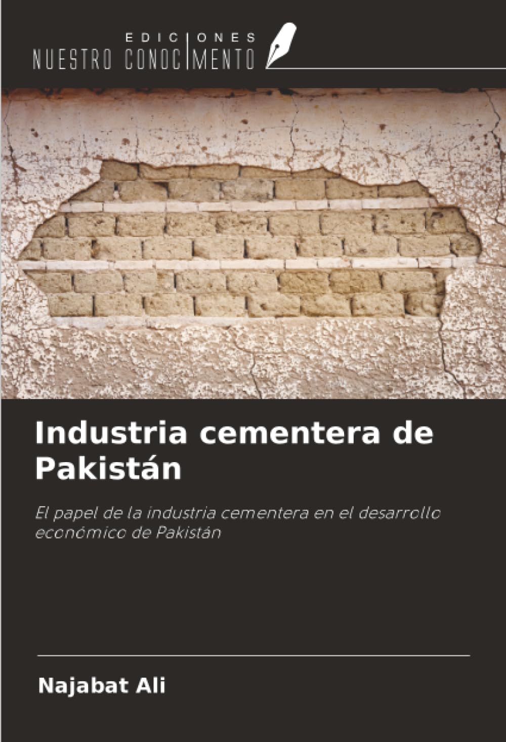 Industria cementera de Pakistán: El papel de la industria cementera en el desarrollo económico de Pakistán