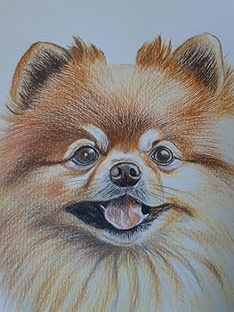 ◇コリスページ◇ワイヤーアート　ポメラニアン ◇コリスページ◇ワイヤーアート ポメラニアン ◇コリス様専用