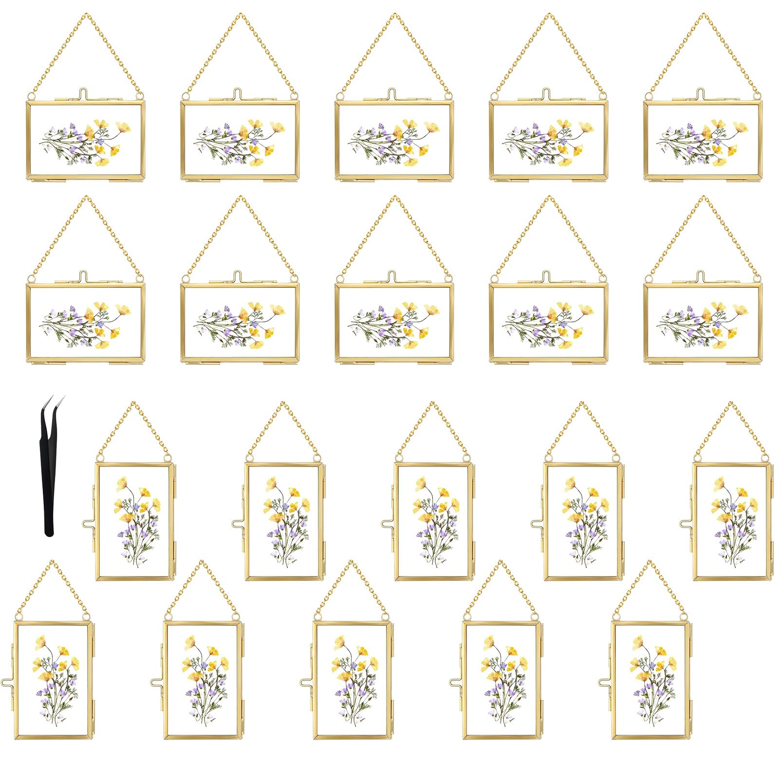Photo 1 of 20 Pcs Double Glass Frame for Pressed Flowers,Floating Hanging Photo Christmas Ornaments Frame Brass Frames with Chain for Wall Display Gallery Artwork,Clear Vertical Horizontal Display for Botanical Art,Picture,Stamps,Gallery Decor,Gold