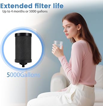 2387 Pro NSF Certified Replacement Filter Compatible with Alexapure Water Filtration System,Reduces chlorine, etc,Last Up to 5000 Gallons,Black(2 Pack)