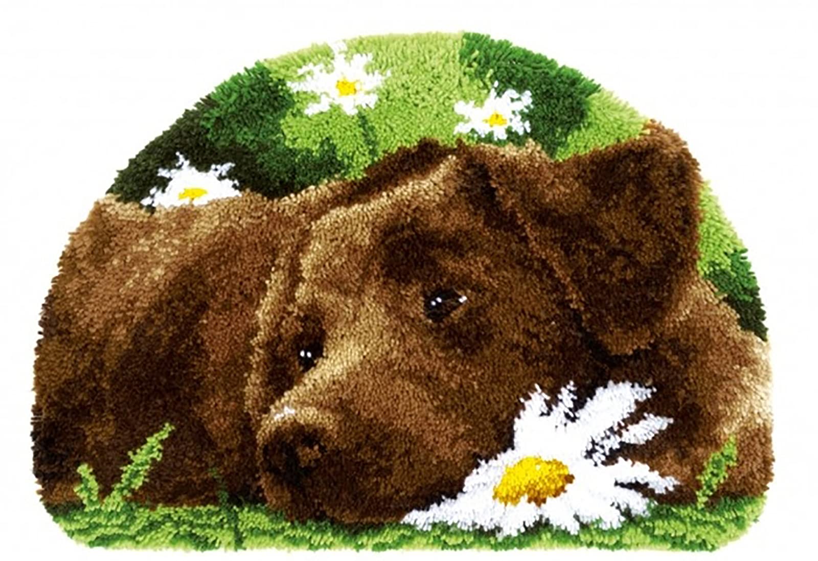 HIYIRUI Latch Hook Rug Kits 20.5 X 15 Inch DIY Needlework Unfinished Crocheting Rug Kit with Color Preprinted Pattern,ZD589