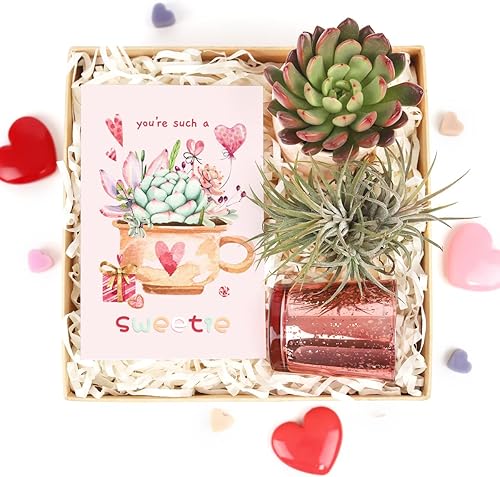 Miniatura 11 de Caja de regalo para el día de San Valentín, 1 planta, 1 suculenta (tarjeta de San Valentín), ideas de caja de regalo de San Valentín, cajas
